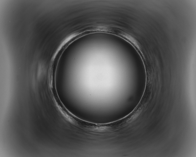 X0000086761131200704201740