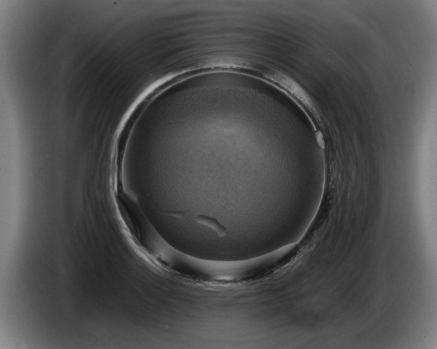 X0000086761132200704201740
