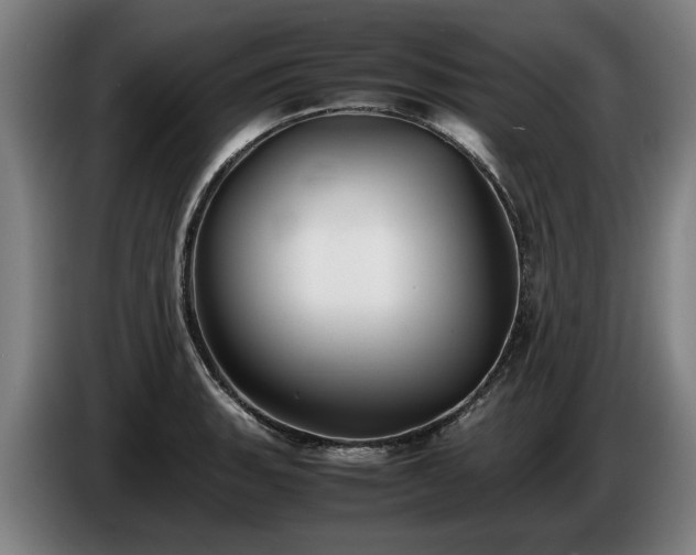 X0000086761135200704201740