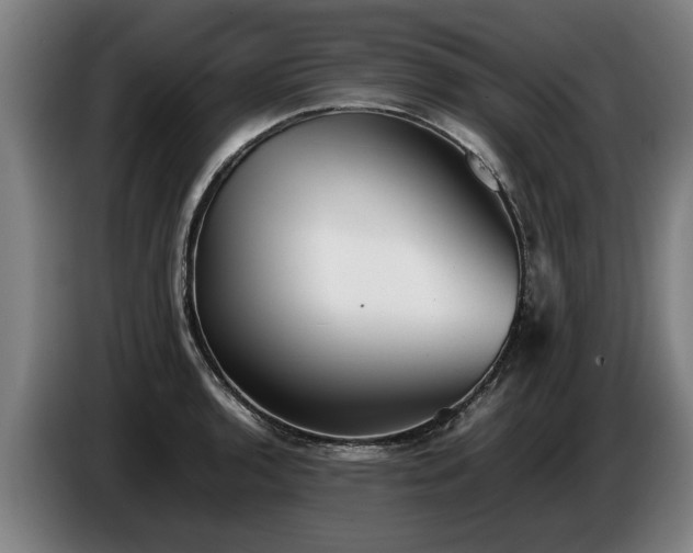 X0000086761136200704201740