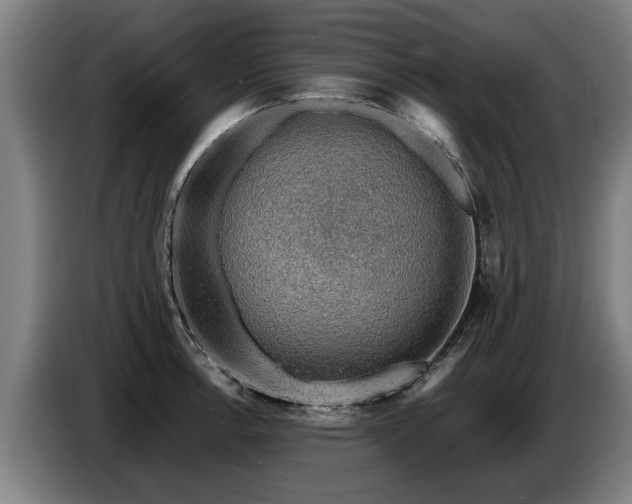X0000086761138200704201740