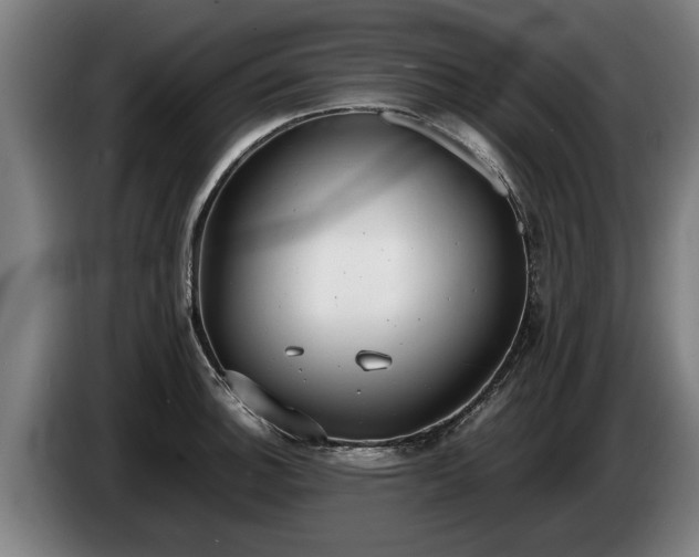 X0000086761140200704201740
