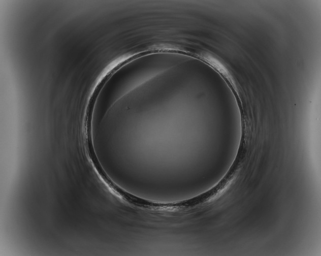 X0000086761141200704201740