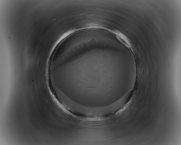 X0000086761142200704201740