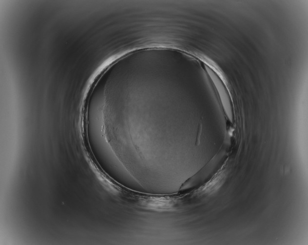 X0000086761144200704201740