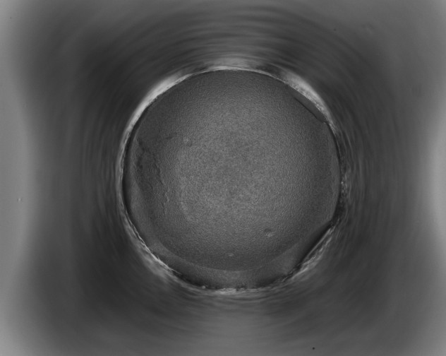 X0000086761146200704201740