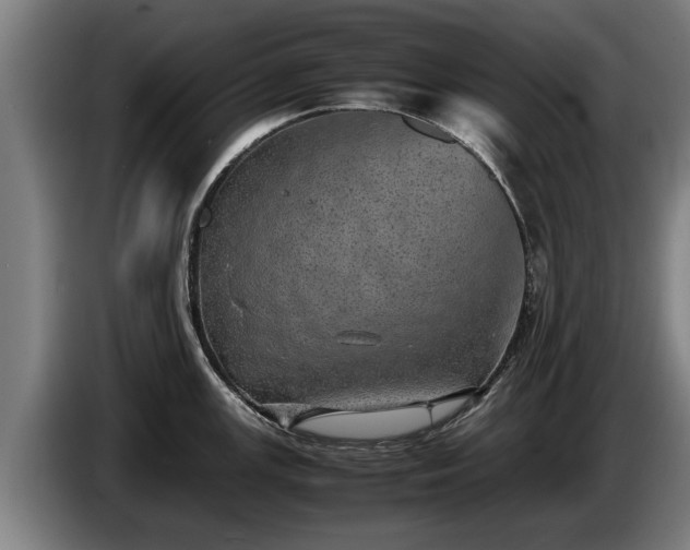 X0000086761147200704201740