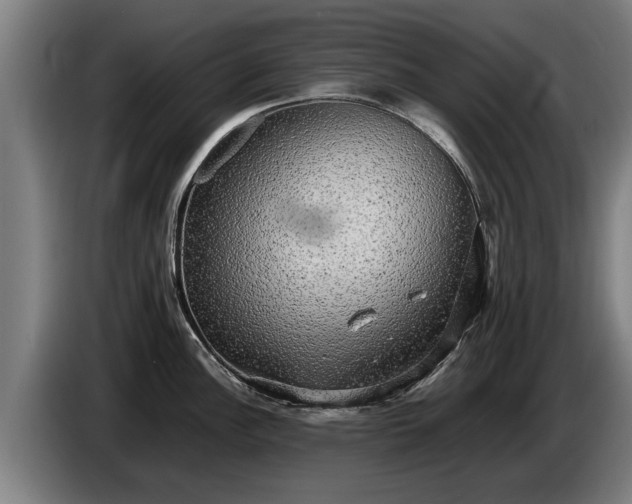 X0000086761148200704201740