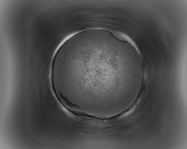 X0000086761149200704201740