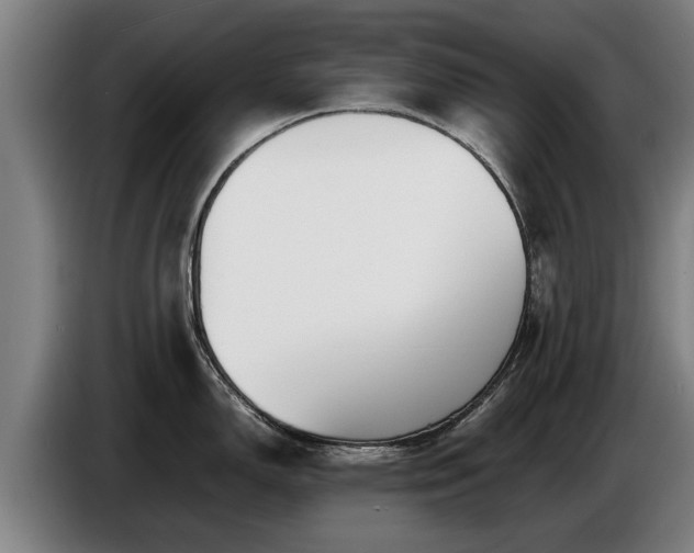 X0000086761150200704201740