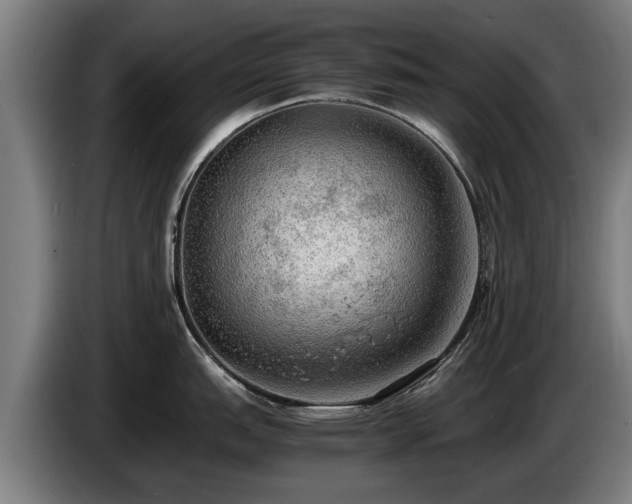 X0000086761151200704201740