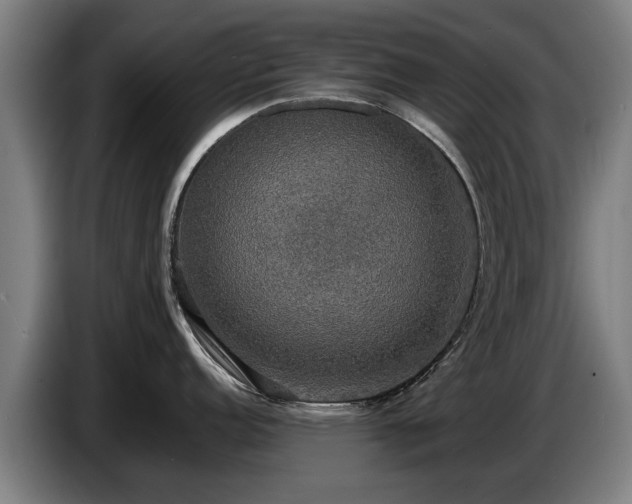 X0000086761152200704201740