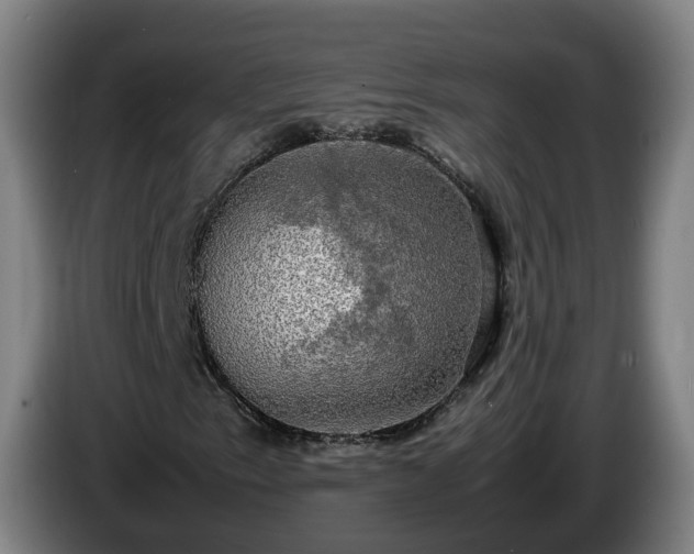 X0000086761153200704201739