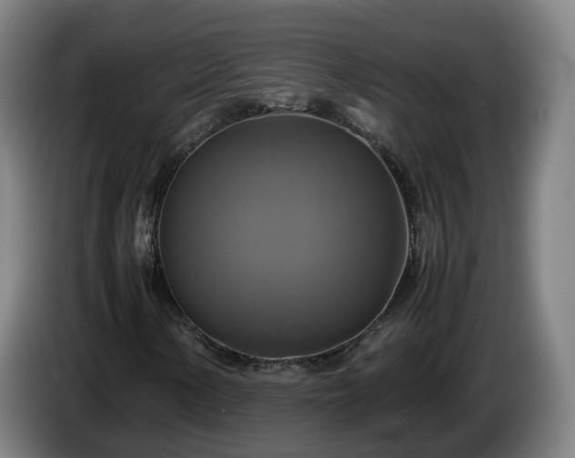 X0000086761154200704201739
