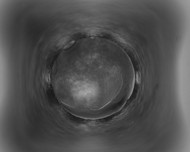 X0000086761155200704201739