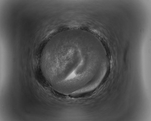 X0000086761157200704201739