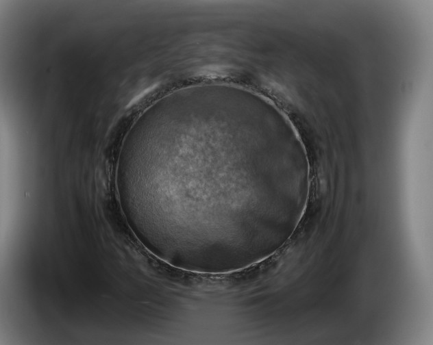 X0000086761158200704201739