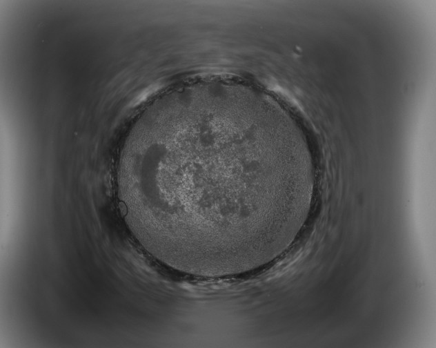 X0000086761159200704201739