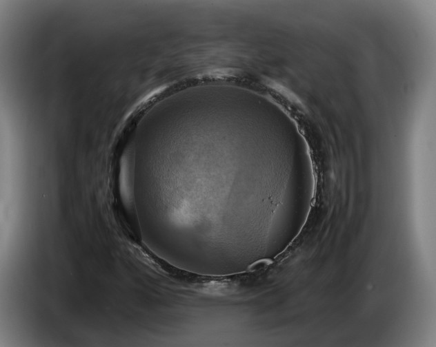 X0000086761160200704201739