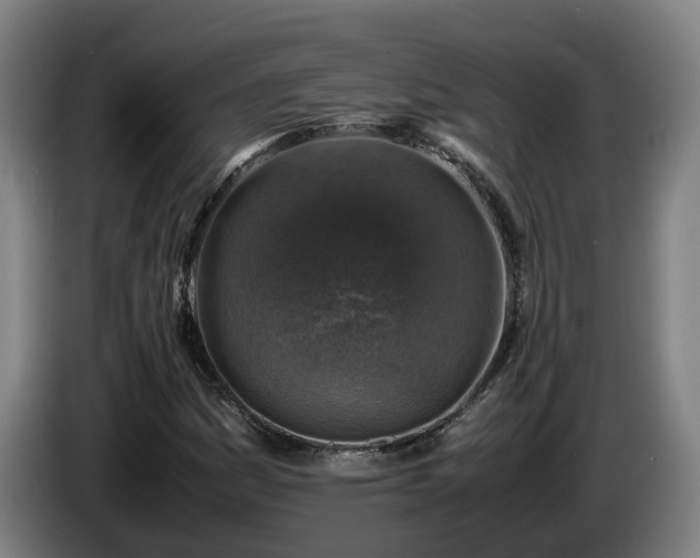 X0000086761161200704201739