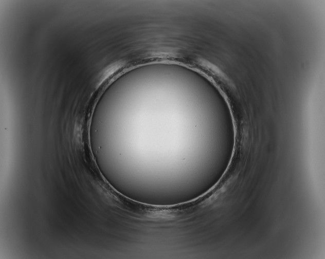 X0000086761162200704201739