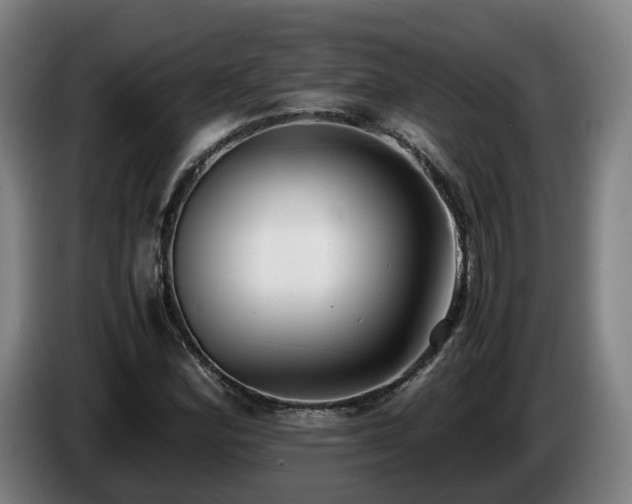 X0000086761164200704201739