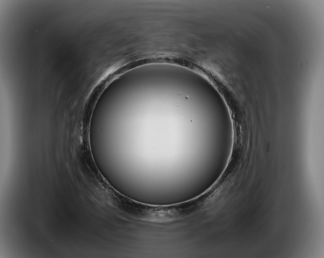 X0000086761165200704201739