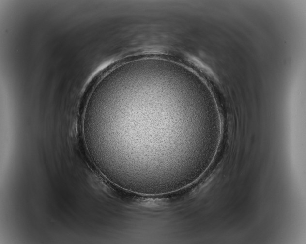 X0000086761166200704201739