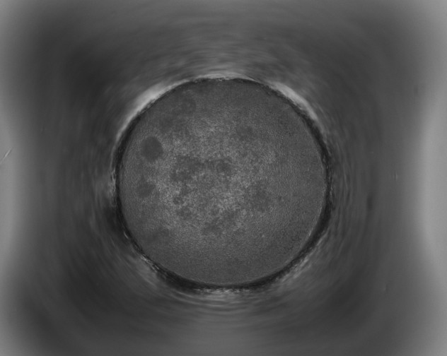 X0000086761167200704201739