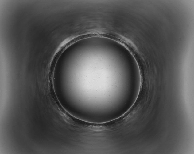 X0000086761168200704201739