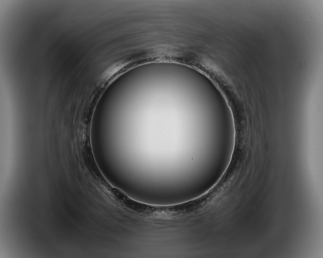 X0000086761169200704201739
