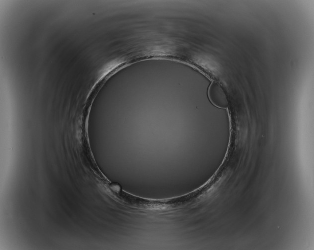 X0000086761170200704201739