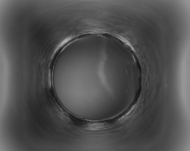 X0000086761171200704201739