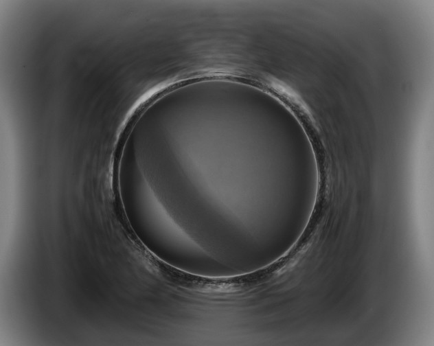 X0000086761174200704201739