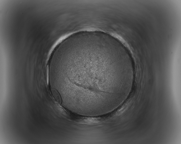 X0000086761175200704201739