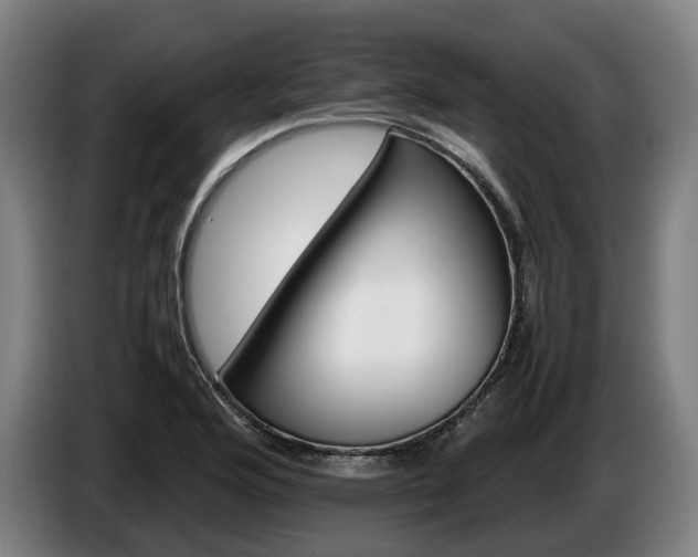 X0000086761176200704201739