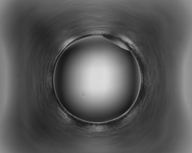X0000086761177200704201739