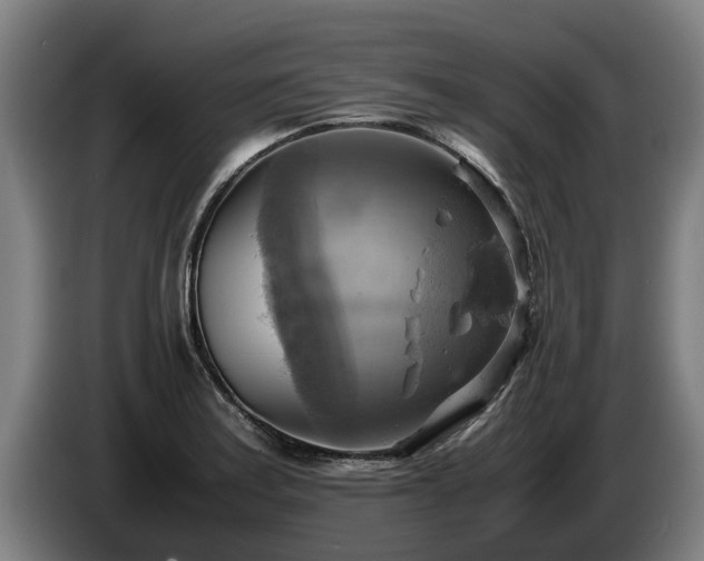 X0000086761179200704201739