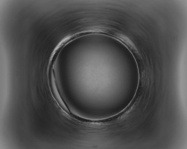 X0000086761180200704201739