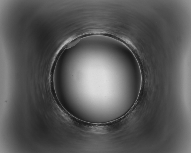 X0000086761181200704201739