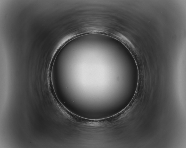 X0000086761182200704201739