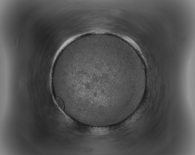 X0000086761183200704201739