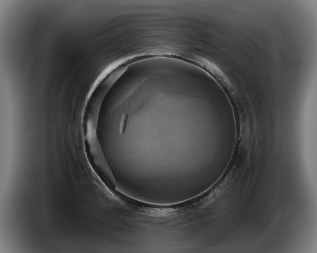 X0000086761184200704201739