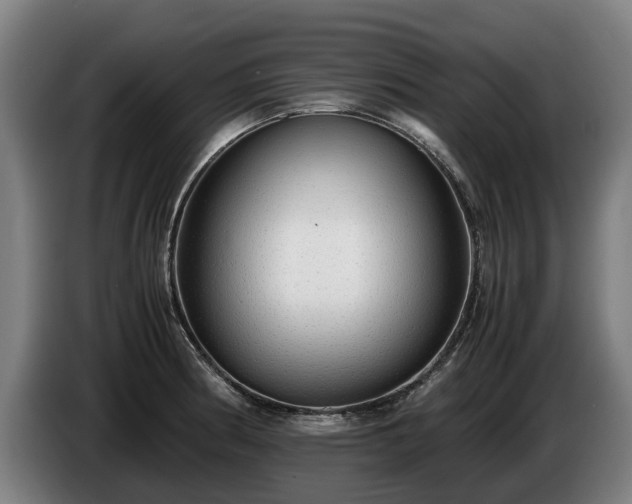 X0000086761186200704201739