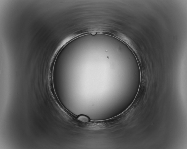 X0000086761187200704201739