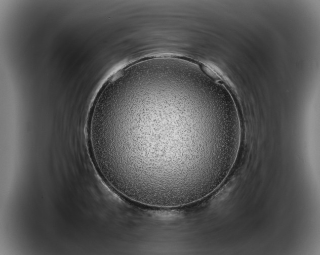 X0000086761189200704201739
