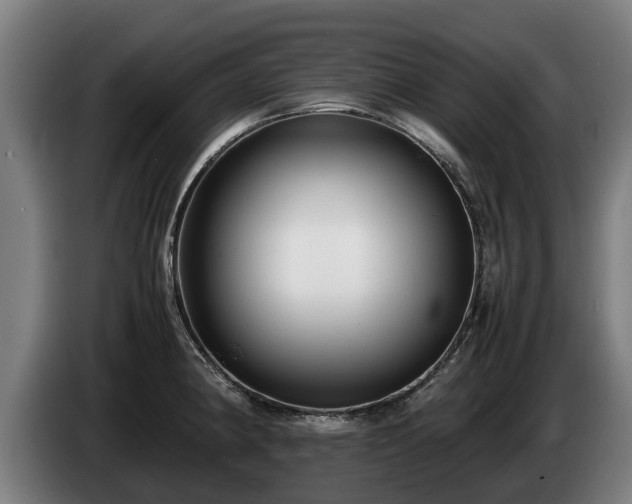 X0000086761190200704201739
