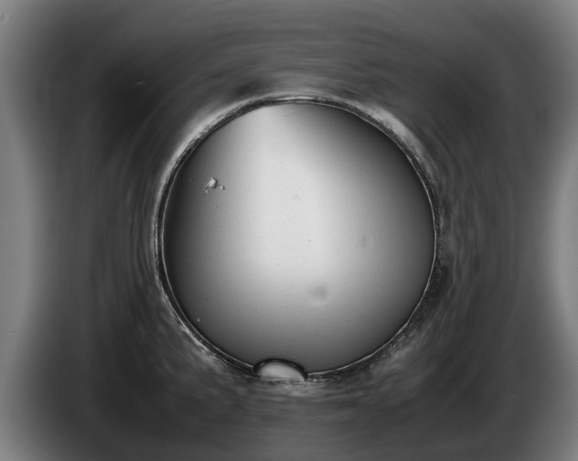 X0000086761191200704201739