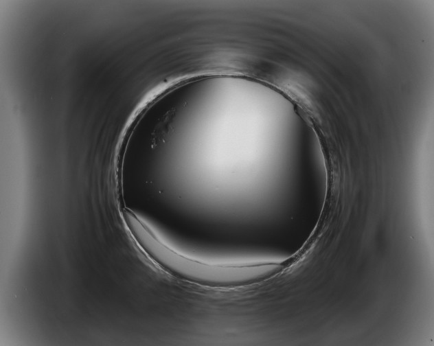 X0000086761192200704201739