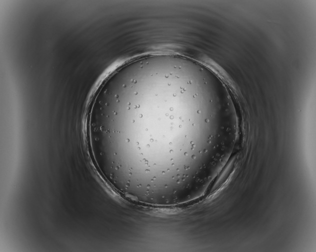 X0000086761196200704201739